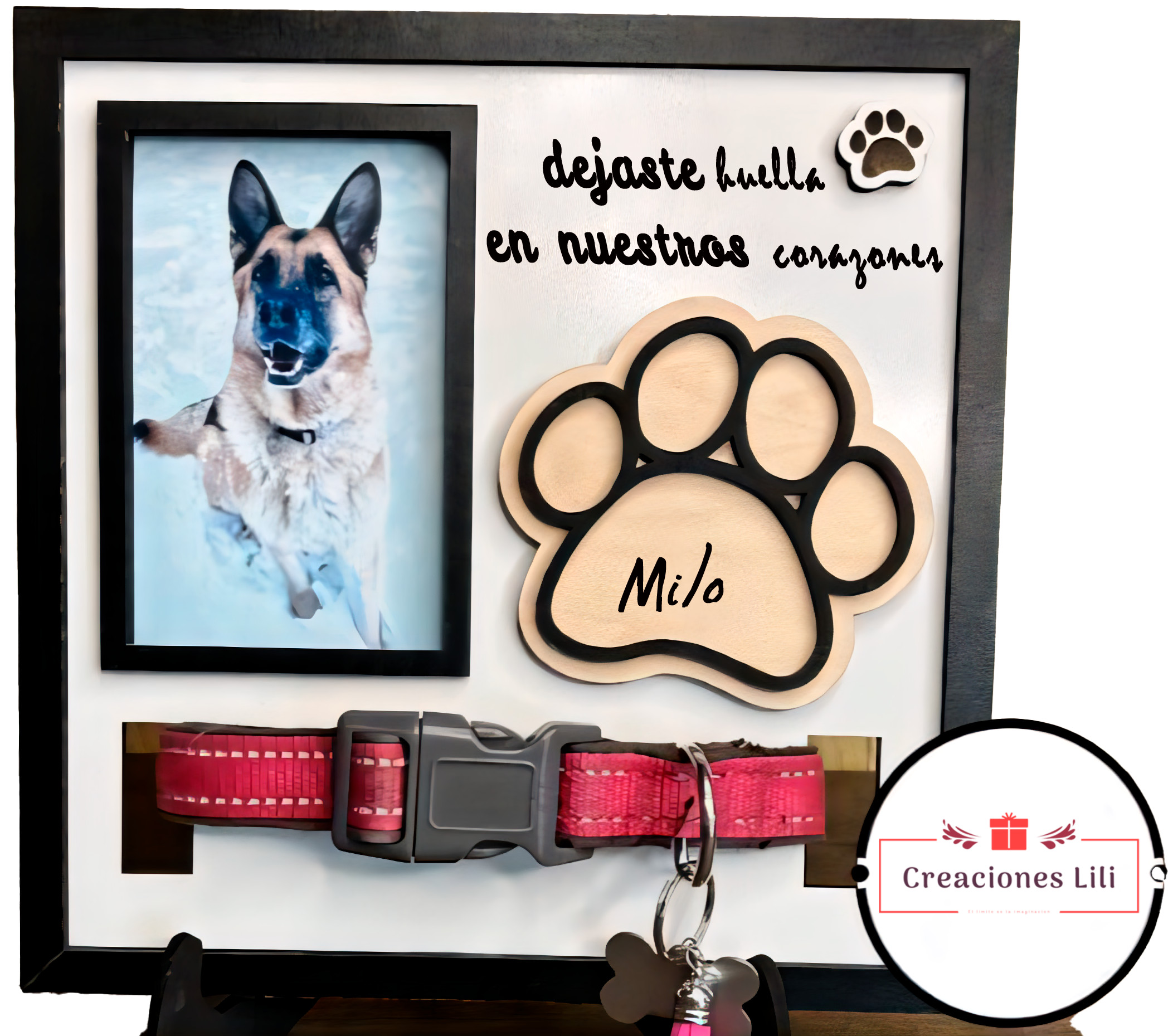 Marco conmemorativo de mascotas_editado_upscayl_4x_uniscale_restore